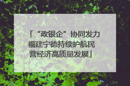 “政银企”协同发力 福建宁德持续护航民营经济高质量发展