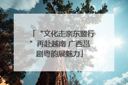 “文化走亲东盟行”再赴越南 广西邕剧粤韵展魅力