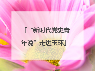 “新时代党史青年说”走进玉环