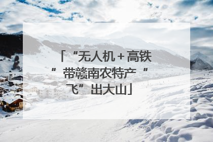 “无人机＋高铁”带赣南农特产“飞”出大山