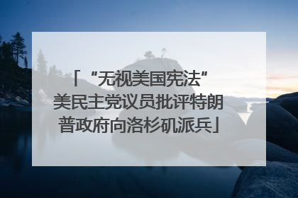 “无视美国宪法” 美民主党议员批评特朗普政府向洛杉矶派兵
