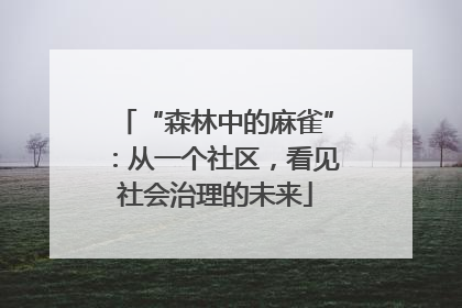 “森林中的麻雀”：从一个社区，看见社会治理的未来