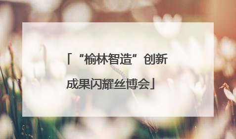 “榆林智造”创新成果闪耀丝博会
