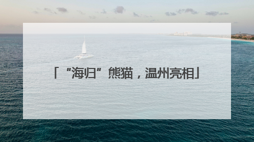 “海归”熊猫，温州亮相
