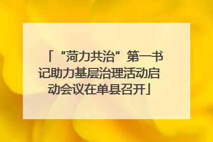 “菏力共治”第一书记助力基层治理活动启动会议在单县召开