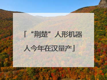 “荆楚”人形机器人今年在汉量产