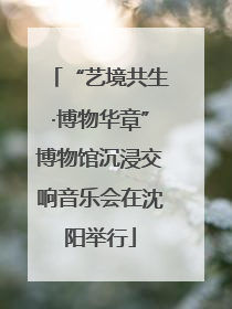 “艺境共生·博物华章”博物馆沉浸交响音乐会在沈阳举行
