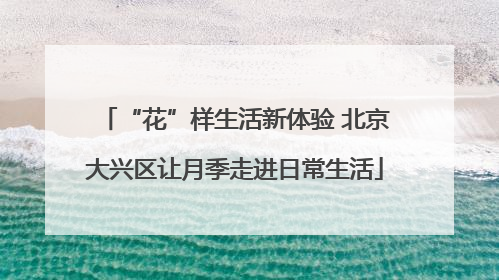 “花”样生活新体验 北京大兴区让月季走进日常生活