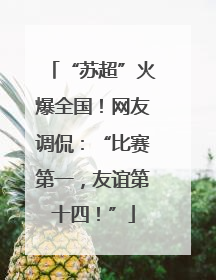 “苏超”火爆全国！网友调侃：“比赛第一，友谊第十四！”
