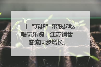 “苏超”串联起吃喝玩乐购，江苏销售客流同步增长
