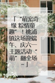 “萌宠奇缘 粽情童趣”！桃浦镇这场迎端午、庆六一主题活动“萌”翻全场～