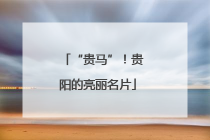 “贵马”！贵阳的亮丽名片