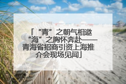 “青”之朝气相邀 “海”之胸怀奔赴——青海省招商引资上海推介会现场见闻