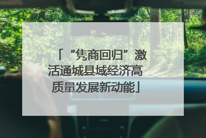 “隽商回归”激活通城县域经济高质量发展新动能