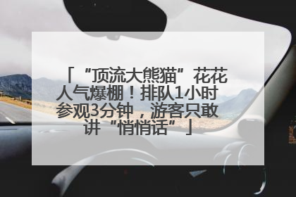 “顶流大熊猫”花花人气爆棚！排队1小时参观3分钟，游客只敢讲“悄悄话”