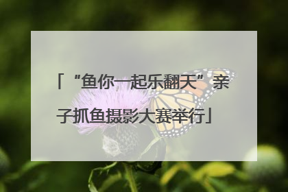“鱼你一起乐翻天”亲子抓鱼摄影大赛举行