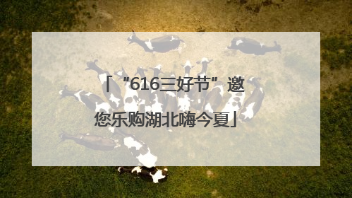 “616三好节”邀您乐购湖北嗨今夏