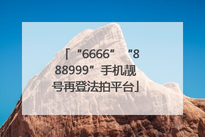 “6666”“888999”手机靓号再登法拍平台