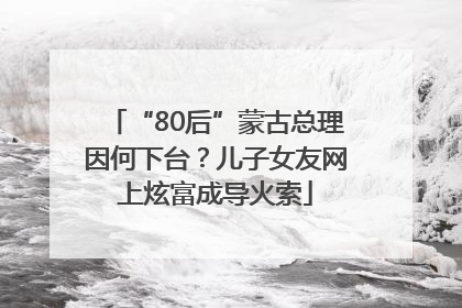 “80后”蒙古总理因何下台？儿子女友网上炫富成导火索