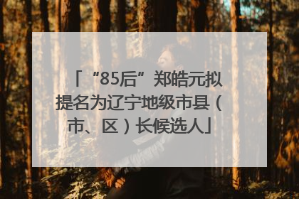 “85后”郑皓元拟提名为辽宁地级市县（市、区）长候选人