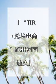 “TIR+跨境电商”跑出河南速度