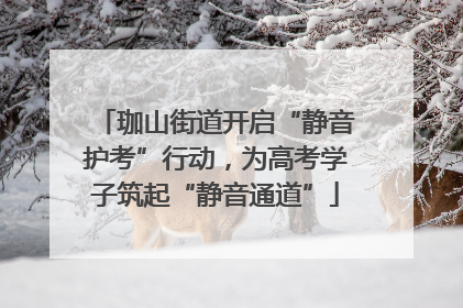 珈山街道开启“静音护考”行动，为高考学子筑起“静音通道”