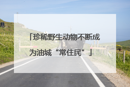 珍稀野生动物不断成为油城“常住民”