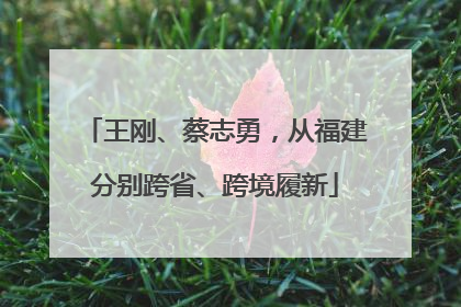 王刚、蔡志勇，从福建分别跨省、跨境履新