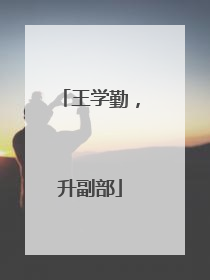 王学勤，升副部