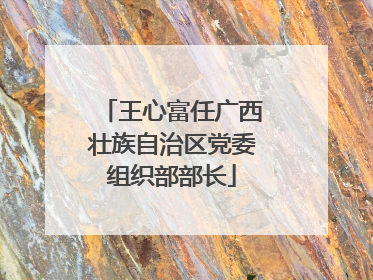 王心富任广西壮族自治区党委组织部部长