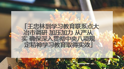 王忠林到学习教育联系点大冶市调研 加压加力 从严从实 确保深入贯彻中央八项规定精神学习教育取得实效