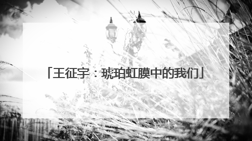 王征宇：琥珀虹膜中的我们