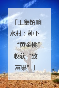王集镇响水村：种下“黄金桃” 收获“致富果”