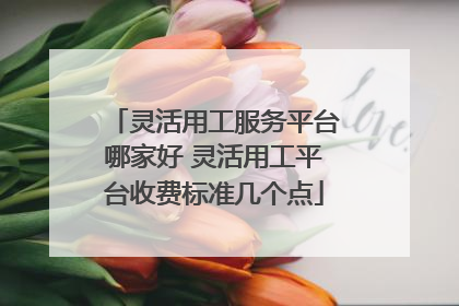 灵活用工服务平台哪家好 灵活用工平台收费标准几个点