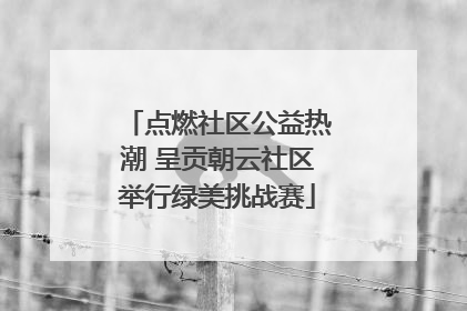 点燃社区公益热潮 呈贡朝云社区举行绿美挑战赛