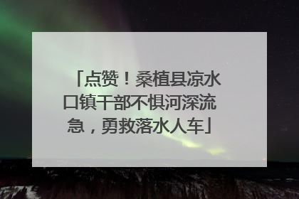 点赞！桑植县凉水口镇干部不惧河深流急，勇救落水人车