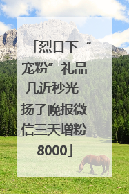 烈日下“宠粉”礼品几近秒光 扬子晚报微信三天增粉8000