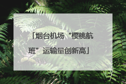 烟台机场“樱桃航班”运输量创新高
