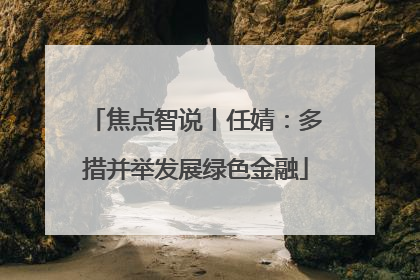 焦点智说丨任婧：多措并举发展绿色金融