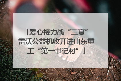 爱心接力战“三夏” 雷沃公益机收开进山东重工“第一书记村”