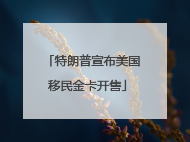 特朗普宣布美国移民金卡开售