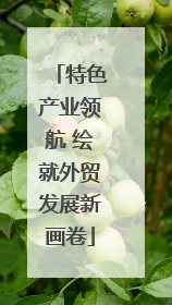 特色产业领航 绘就外贸发展新画卷