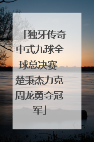 独牙传奇中式九球全球总决赛 楚秉杰力克周龙勇夺冠军