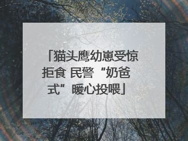 猫头鹰幼崽受惊拒食 民警“奶爸式”暖心投喂