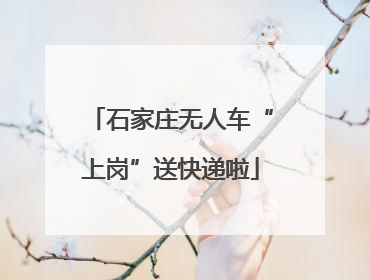 石家庄无人车“上岗”送快递啦