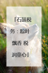 石鼓税务：粽叶飘香 税润童心