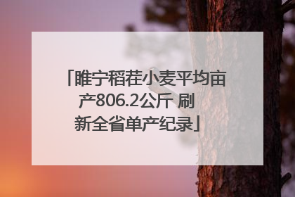 睢宁稻茬小麦平均亩产806.2公斤 刷新全省单产纪录