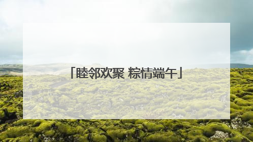 睦邻欢聚 粽情端午