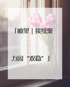 瞭望｜接续聚力固“双稳”