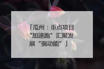 瓜州：重点项目“加速跑”汇聚发展“强动能”